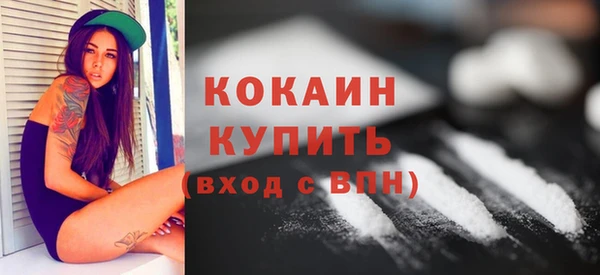 шишки Осташков