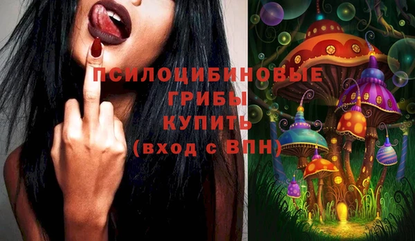 ешки Вязники