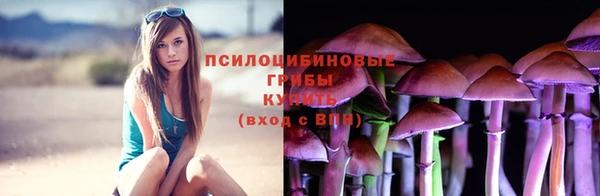 мдма Няндома
