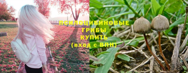 мдма Няндома