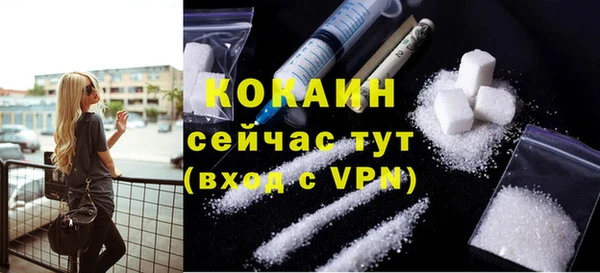 шишки Осташков