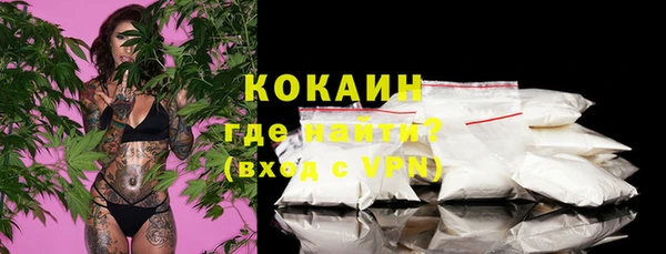 шишки Осташков
