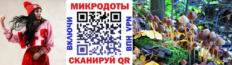 как найти наркотики  Берёзовский  Галлюциногенные грибы GOLDEN TEACHER 